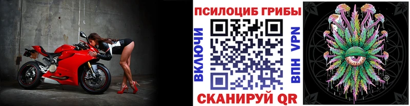 Купить  Ростов  Псилоцибиновые грибы Psilocybine cubensis 